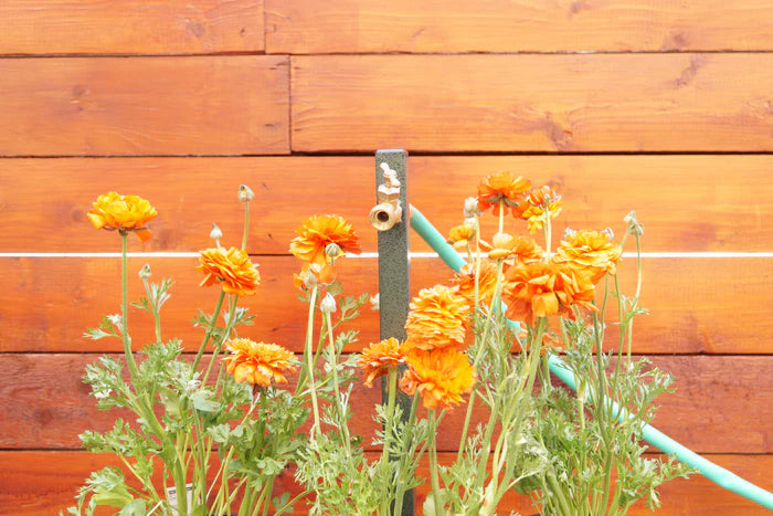 Garden Hose Bib Extender