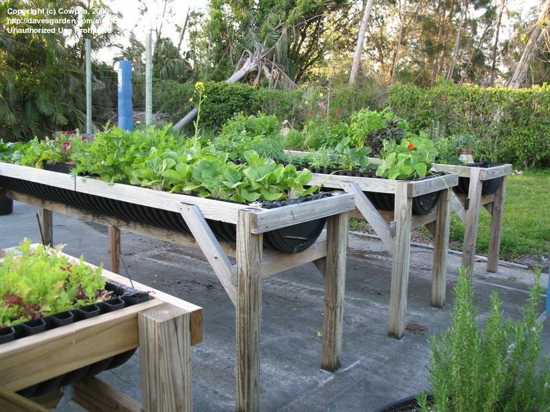 Wheelchair Accessible Raised Garden Beds