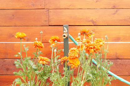 Garden Hose Bib Extender